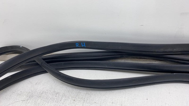 2022-2024 Kia EV6 Front & Rear Left  & Right  Door Body Weatherstrip Rubber Seal