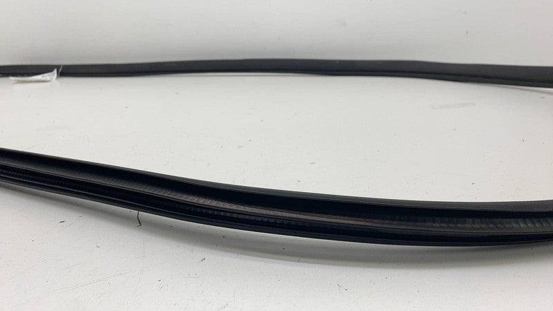 68291607 ⭕ 2019-2025 Ram 1500 Rear Left Door Body Weatherstrip Rubber Seal OEM 68291607