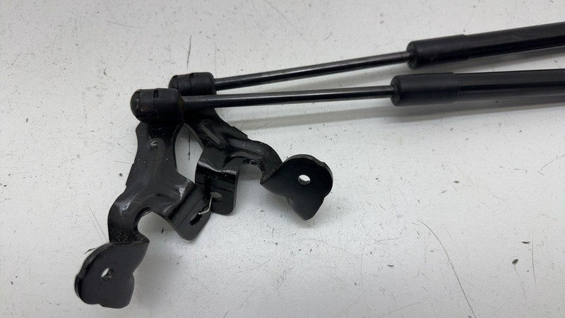 ⭕ 2017-2023 Tesla Model 3 Front Left & Right Hood Lift Shock Strut Support OEM