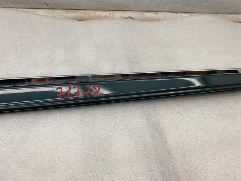 101221500C ⭕ 12-25 Model S Driver Side Rocker Panel Scuff Plate Molding Left 1012215-00-C
