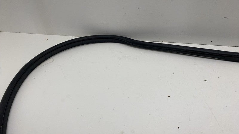 68291607 ⭕ 2019-2025 Ram 1500 Rear Left Door Body Weatherstrip Rubber Seal OEM 68291607