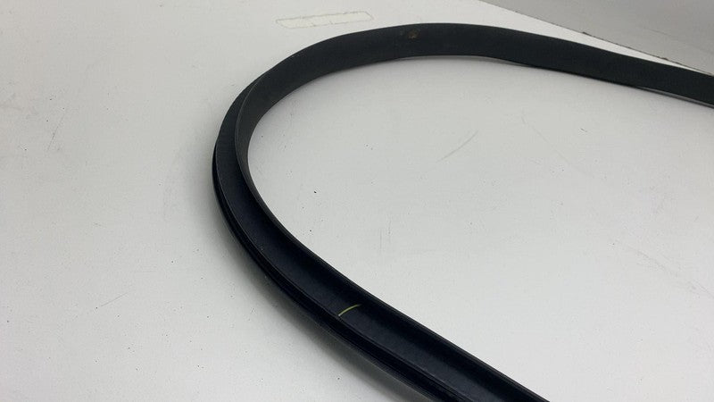 2020-2023 Tesla Model Y Rear Passenger Right Door Body Weatherstrip Rubber Seal
