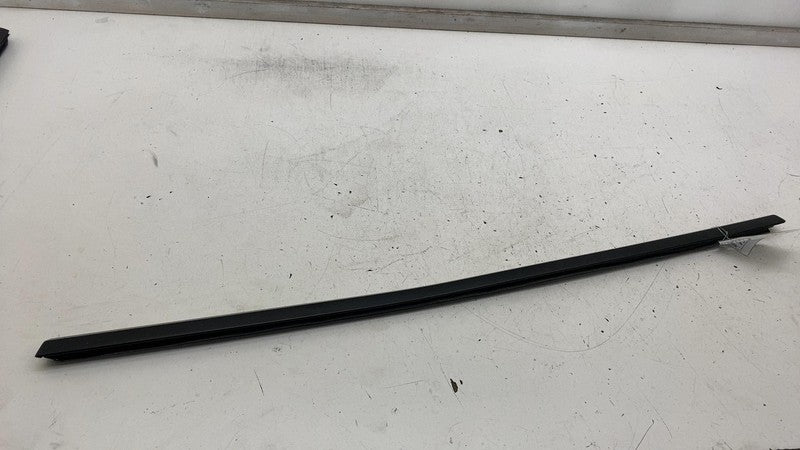 ⭕ 2024-2025 Tesla Model 3 Rear Left or Right Door Window Seal Molding 