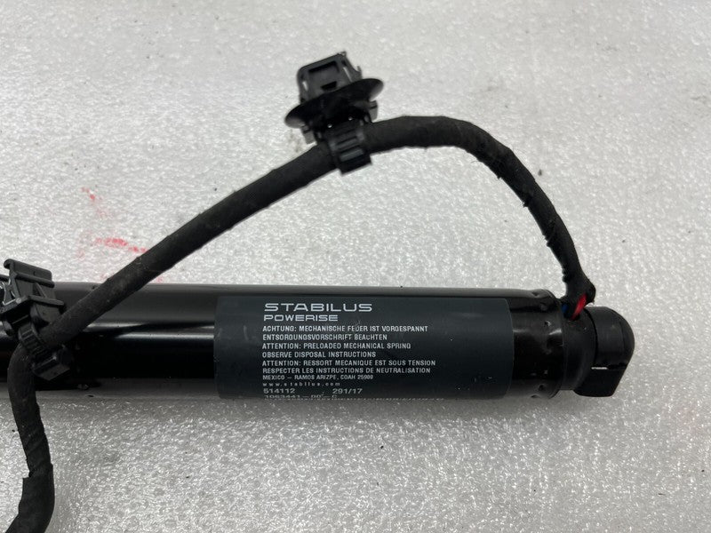 106344100C ⭕ 16-25 Model X Rear Left or Right Secondary Falcon Door Lift Strut 1063441-00-C