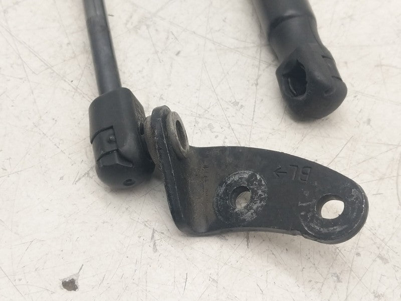 ⭕12-20 Tesla Model S PAIR Front Left & Right Hood Lift Gas Strut Suppo