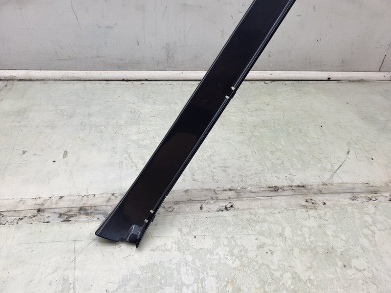 101221500F ⭕ 12-25 Model S Driver Side Rocker Panel Scuff Plate Molding Left 1012215-00-F