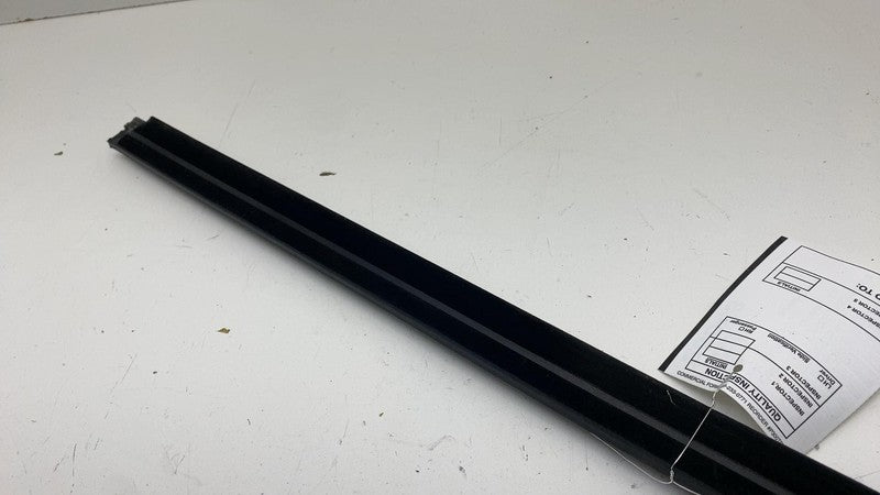 ⭕ 2021-2024 Ford Mustang Mach-E Left Door Window Inner Belt Weatherstrip Seal LH