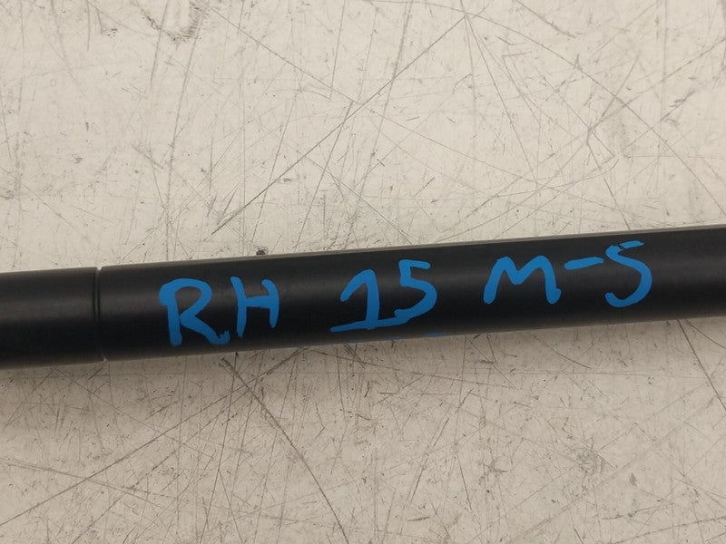 ⭕12-20 Tesla Model S PAIR Front Left & Right Hood Lift Gas Strut Suppo