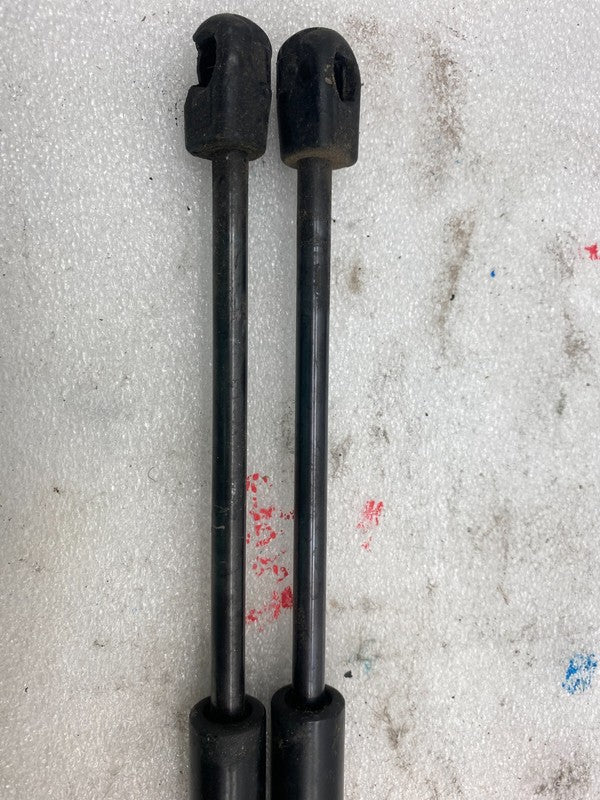 103387900B ⭕16-23 Model X PAIR Front Left and Right Bonnet Hood Lift Gas Strut 1033879-00-B