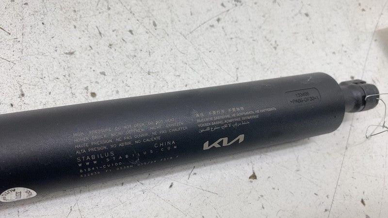 81841CV100 2022-2024 Kia EV6 Rear Right Liftgate Trunk Lid Gas Shock Strut Lift Cylinder RH