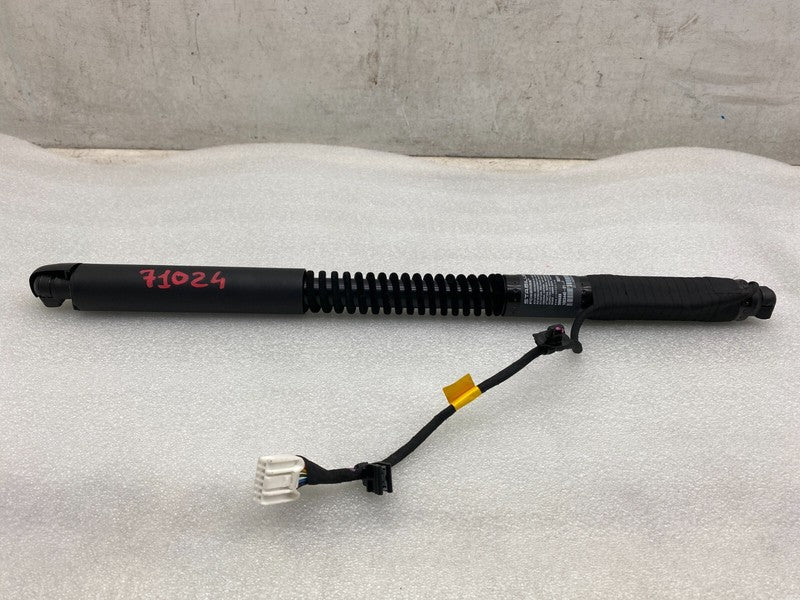 106344001F ⭕ 16-25 Model X Front Left/Rear Right Primary Door Lift Shock Strut 1063440-01-F