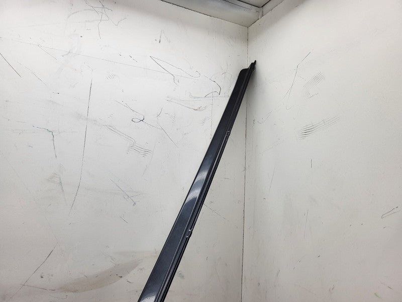 101221500F ⭕ 12-25 Model S Driver Side Rocker Panel Scuff Plate Molding Left 1012215-00-F