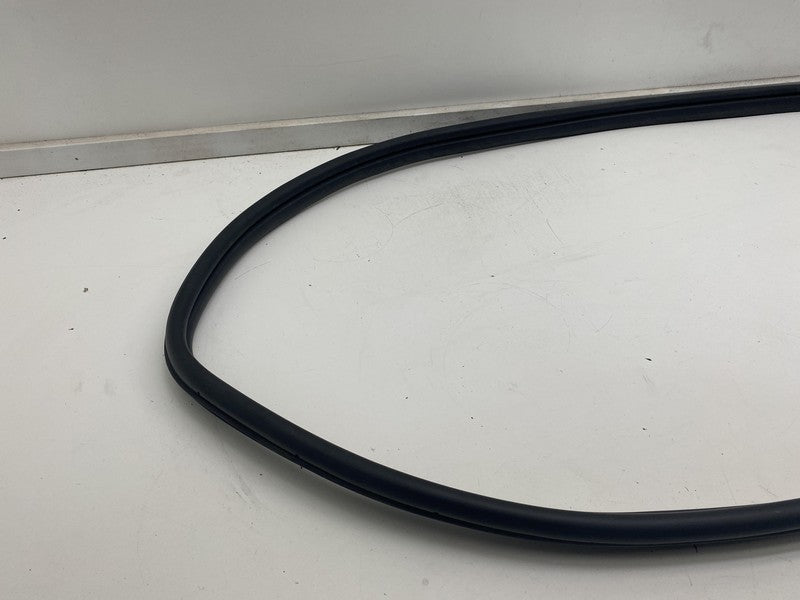 ⭕ 22-24 Hyundai Ioniq 5 Front Passenger Side Door Weatherstrip Rubber Seal Right