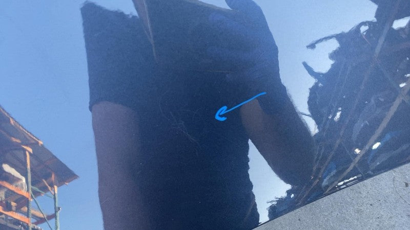 2017-2020 Tesla Model 3 M3 Rear Trunk Tailgate Liftgate Decklid Shell 