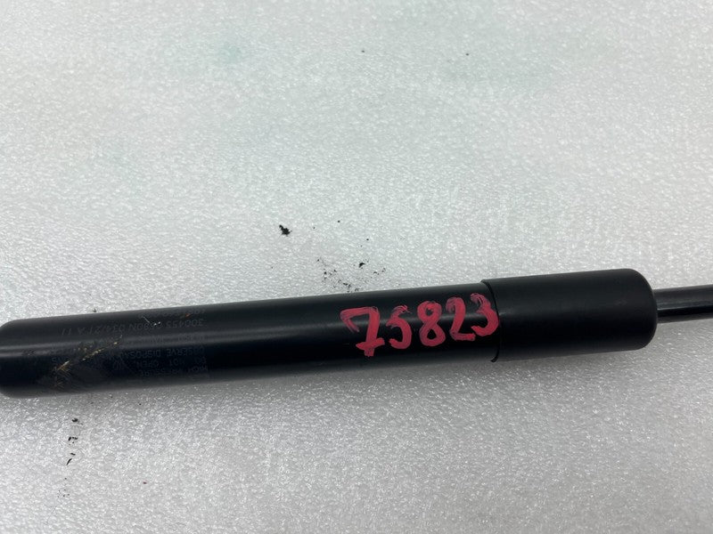 1091560 00 B ⭕17-20 Model 3 Rear Left or Right Trunk Lid Gas Strut (Non-Powered) 1091560-00-B