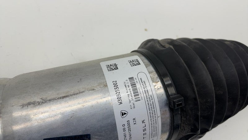 ⭕ 16-20 Tesla Model X Rear Right Air Suspension Spring Module AWD 1027