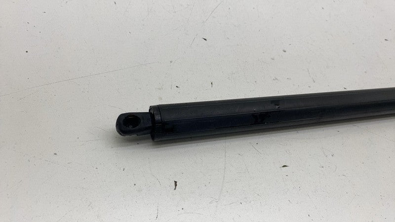 ⭕ 2012-2024 Tesla Model S Rear Left Liftgate Trunk Spring Strut LH 600