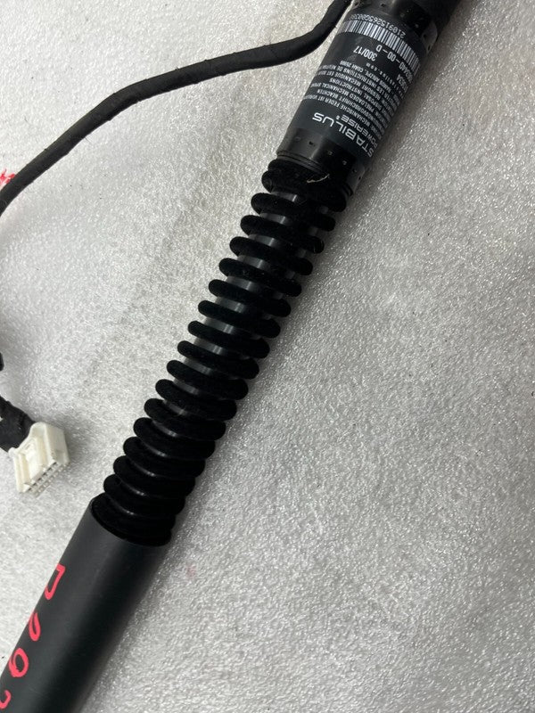106344000D ⭕ 16-25 Model X MX Rear Left/Front Right Primary Falcon Door Strut 1063440-00-D