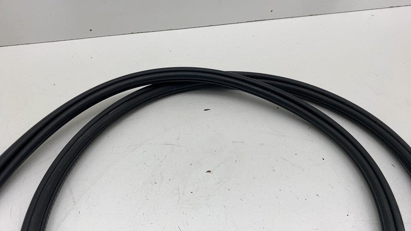 31662570 ⭕ 21-23 Polestar 2 Rear Driver Side Door Body Weatherstrip Seal Left LH 31662570