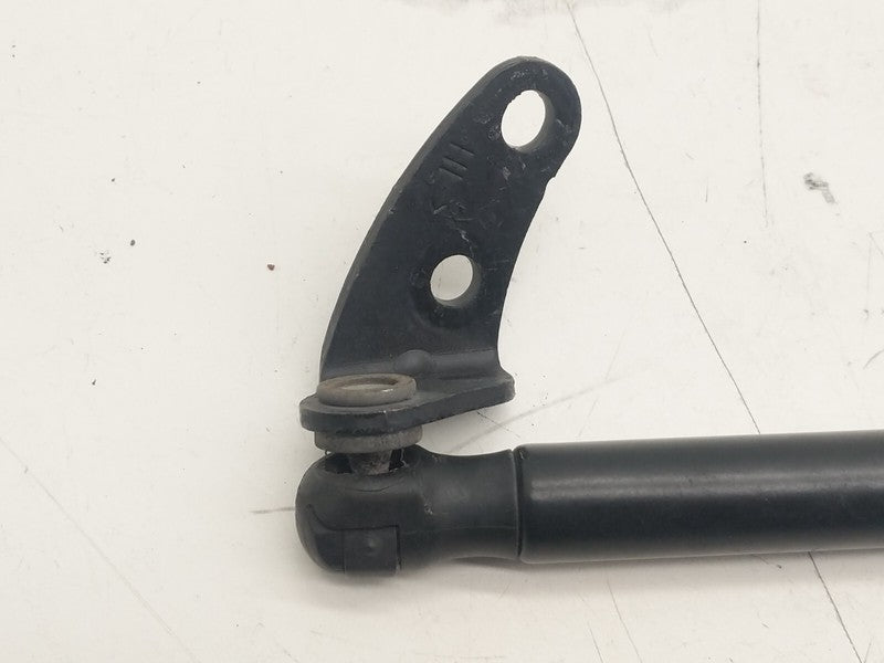 6006603 ⭕ 2012-2020 Tesla Model S Front Passenger Side Hood Lift Gas Strut Support Right