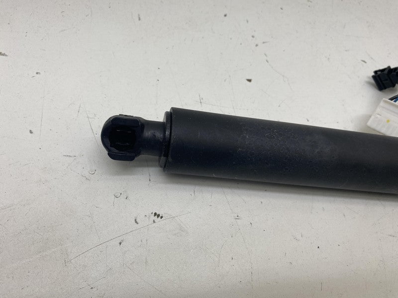 ⭕ 16-23 Model X Rear Left / Front Right Primary Door Lift Gas Strut 10