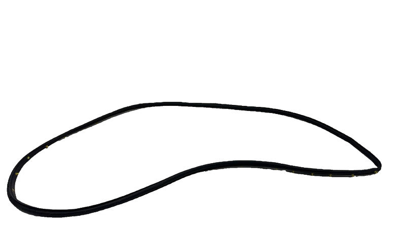 LJ8B-R20530 ⭕ 2021 2022 2023 2024 Ford Mustang Mach-E Front Door Weatherstrip Seal OEM