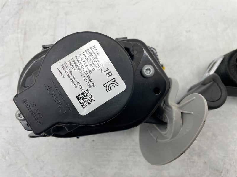 ⭕ 20-24 Model Y Front Passenger 1st Row Seat Belt & Retractor Right 14