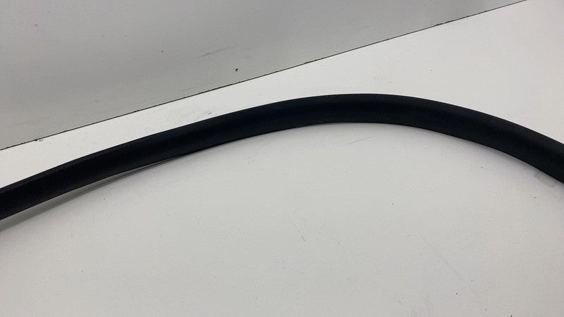 2020-2023 Tesla Model Y Rear Passenger Right Door Body Weatherstrip Rubber Seal