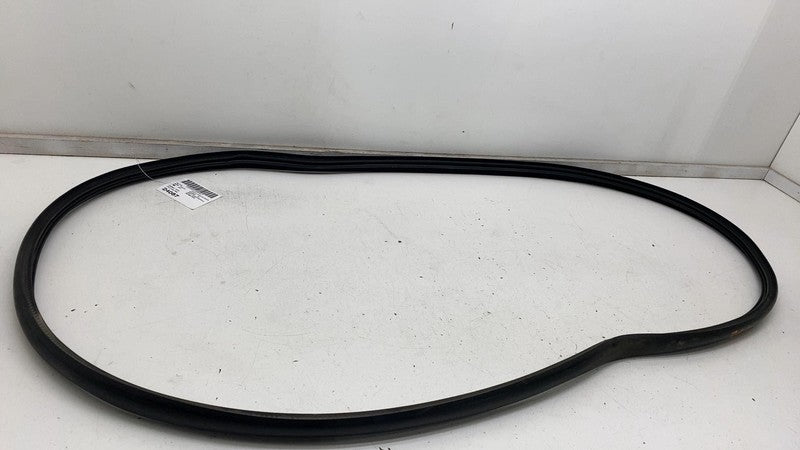 ⭕ 2020-2023 Tesla Model Y Front Driver Left Door Body Weatherstrip Rub