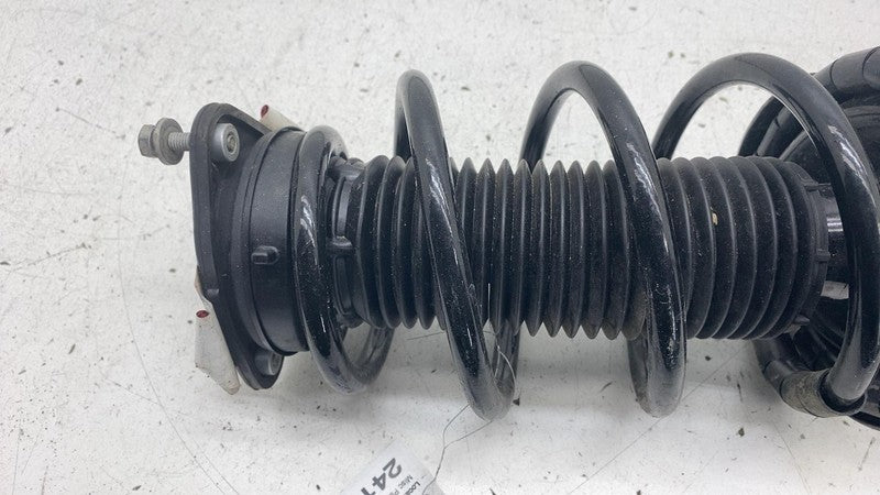 LS34 86171L 2013 2014 2015 2016 2017 2018 Ford C-Max Suspension Shock Strut Absorber Assy