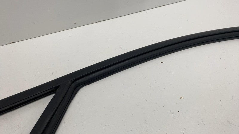 LJ8BR21511A ⭕ 21-24 Mustang Mach-E Front Left Door Window Glass Channel Seal LJ8B-R21511-A