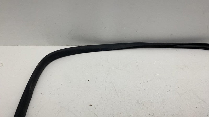 ⭕ 24-25 Model 3 Front Right Primary Body Weatherstrip Rubber Seal 1910