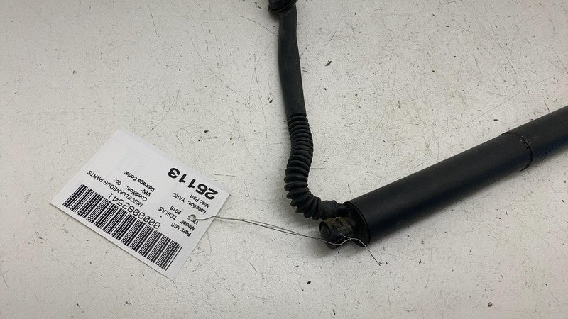 ⭕ 12-20 Model S Rear Passenger Liftgate Trunk Power Strut Right RH 600