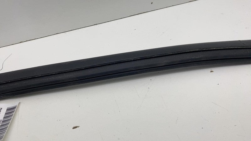 LJ8BR25825AE ⭕ 21-24 Ford Mustang Mach-E Rear Left Door Window Rubber Seal OEM LJ8B-R25825-AE