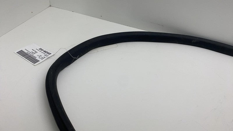 2020-2023 Tesla Model Y Front Passenger Right Door Body Weatherstrip Rubber Seal