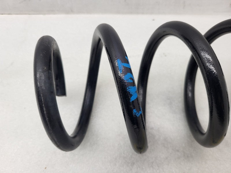 104447201E ⭕2017-2023 Tesla Model 3 Rear Left or Right Coil Spring E3 Assembly 1044472-01-E