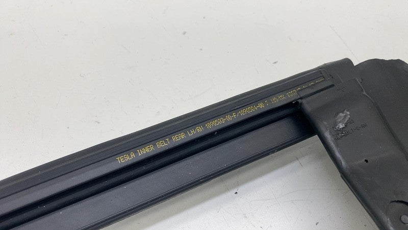⭕ 17-23 Model 3 Rear Right Door Window Inner Belt Weatherstrip Seal 10