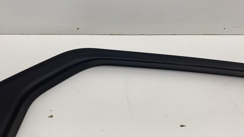 LJ8B-R247B57-A ⭕ 2021-2024 Ford Mustang Mach-E Rear Left Door Window Frame Trim LJ8B-R247B57-A