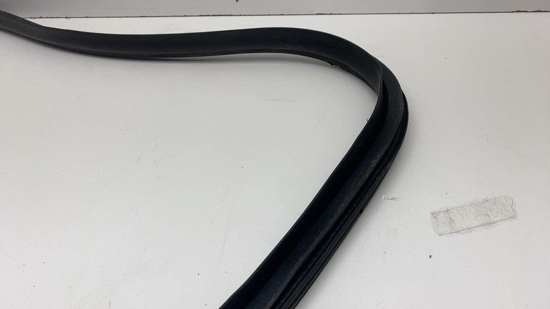 2017-2023 Tesla Model 3 Front Passenger Door Primary Weatherstrip Seal Right RH