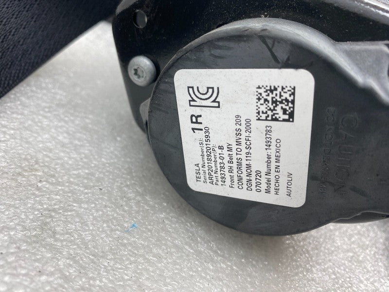 ⭕ 20-24 Tesla Model Y MY Front Right 1st Row Seat Belt & Retractor  14
