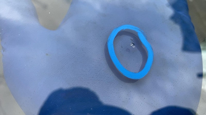 ⭕ 2014 2015 2016 Chevy Silverado 1500 Front Windshield Glass E9 43R-00