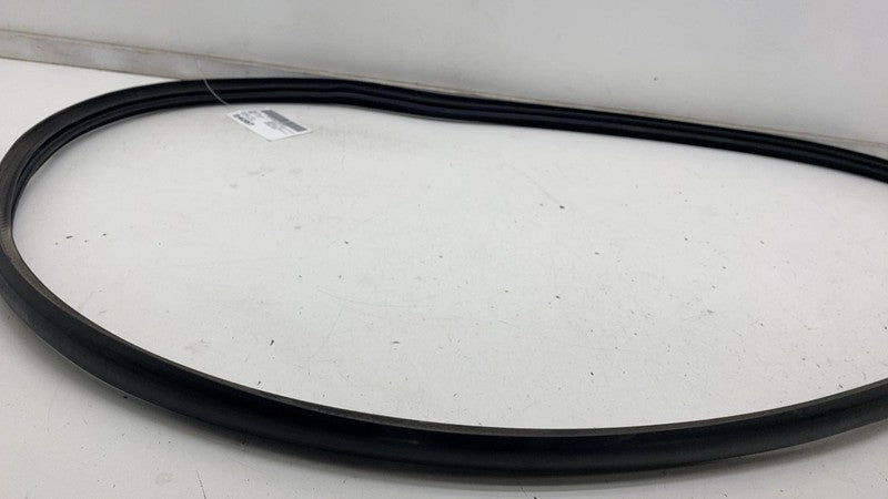 ⭕ 2020-2023 Tesla Model Y Front Driver Left Door Body Weatherstrip Rub