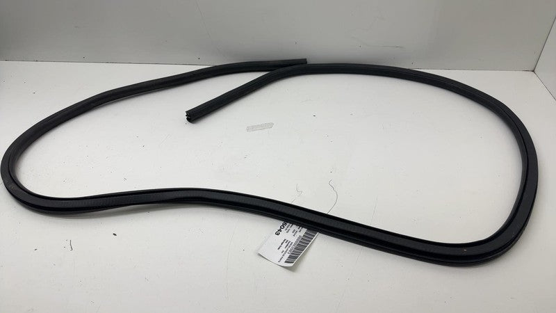 ⭕ 21-24 Mustang Mach-E Front Passenger Right Door Body Weatherstrip Ru