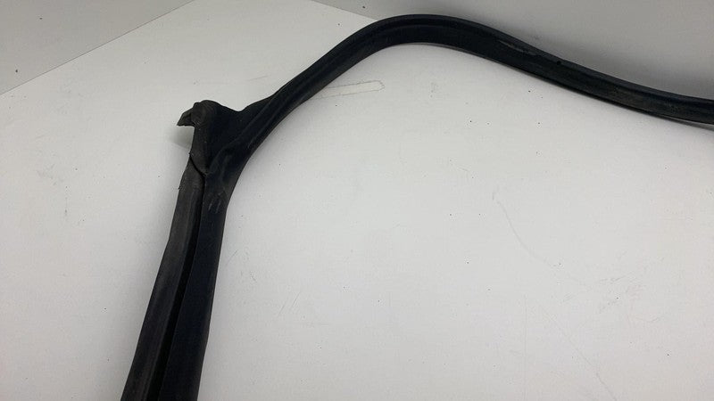 2017-2023 Tesla Model 3 Rear Passenger Right Door Body Weatherstrip Rubber Seal