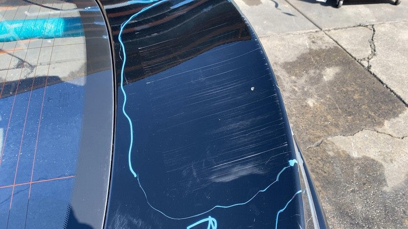 ⭕2016-2020 Tesla Model S Liftgate Trunk Lid Tailgate Hatch Shell w/ Wi