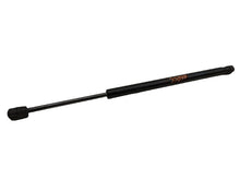 ⭕12-20 Tesla Model S Left or Right Side Hood Lift Gas Strut Support 1062634-00-A