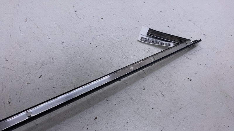 ⭕ 2023-2025 Toyota Prius Front Driver Side Door Applique Trim Molding Left LH