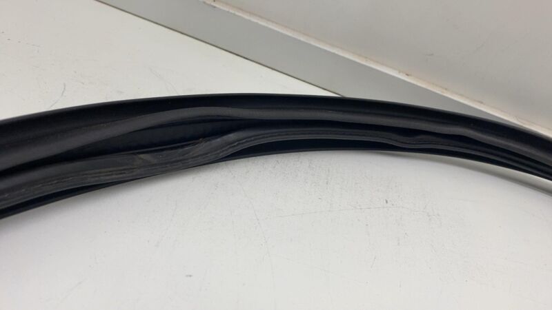 ⭕2020-2023 Tesla Model Y Rear Passenger Door Body Weatherstrip Rubber Seal Right