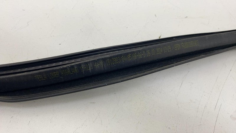 ⭕ 24-25 Model 3 Rear Right Primary Body Weatherstrip Rubber Seal RH 19