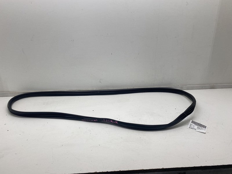 ⭕ 22-24 Hyundai Ioniq 5 Rear Passenger Side Door Weatherstrip Rubber Seal Right
